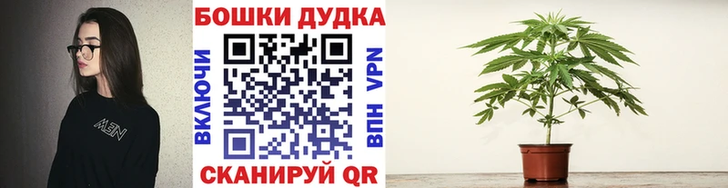 цены   Калтан  Канабис OG Kush 